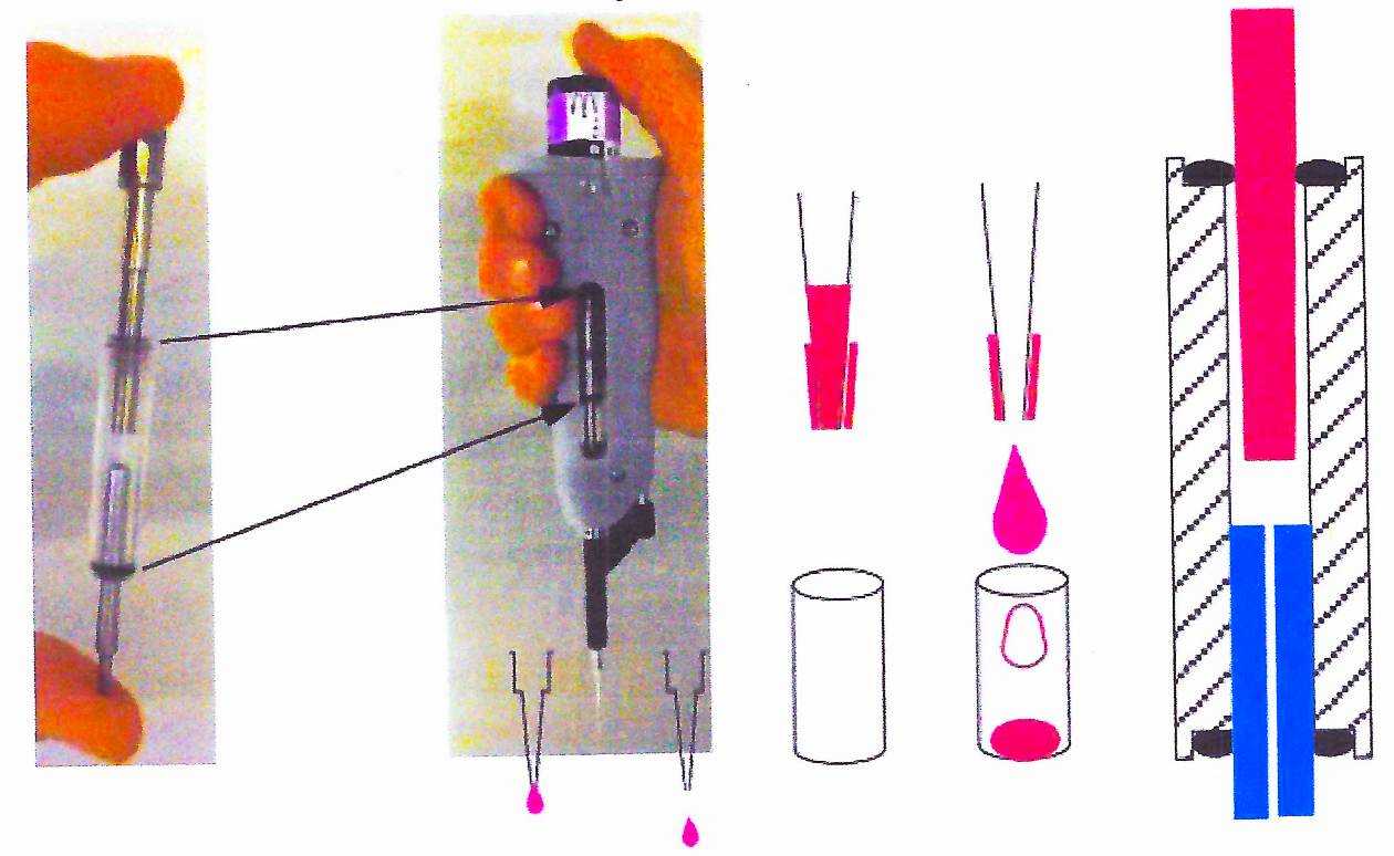 DRD clean two-step Differential Pipetting workflow